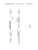 CELL, METHOD AND KIT FOR CONDUCTING AN ASSAY FOR NEUTRALIZING ANTIBODIES diagram and image