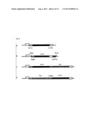 DIAGNOSTICS IN A MONOPLEX/MULTIPLEX FORMAT diagram and image