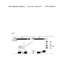 DIAGNOSTICS IN A MONOPLEX/MULTIPLEX FORMAT diagram and image