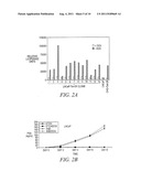 METHODS OF AIDING IN THE DIAGNOSIS OF PROSTATE CANCER diagram and image