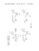 METHODS OF AIDING IN THE DIAGNOSIS OF PROSTATE CANCER diagram and image