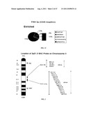 Circulating Tumor and Tumor Stem Cell Detection Using Genomic Specific     Probes diagram and image