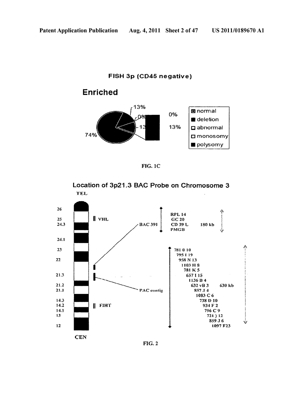 Circulating Tumor and Tumor Stem Cell Detection Using Genomic Specific     Probes - diagram, schematic, and image 03