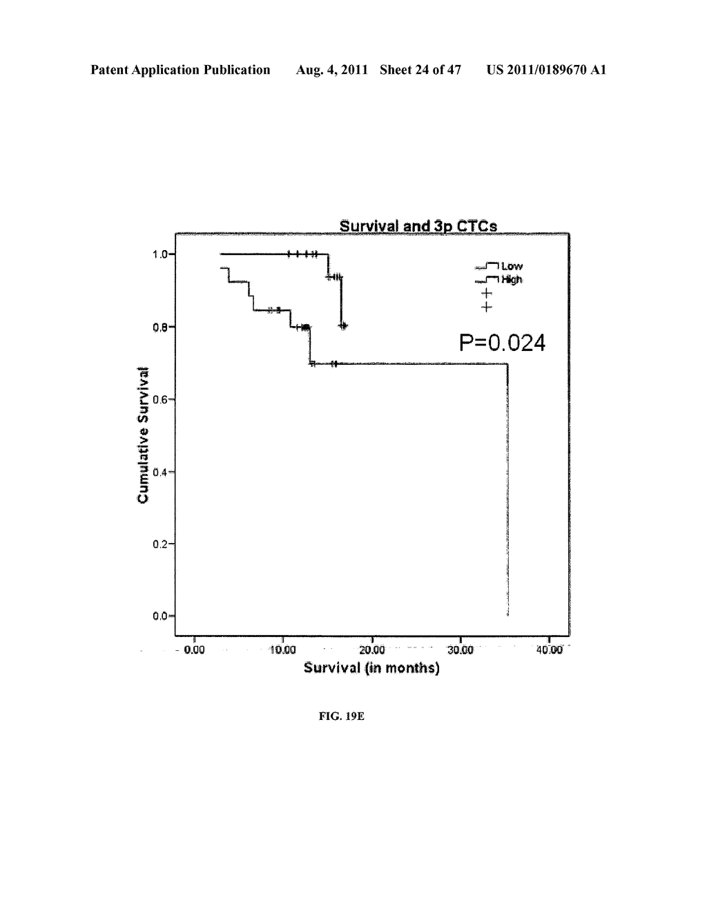 Circulating Tumor and Tumor Stem Cell Detection Using Genomic Specific     Probes - diagram, schematic, and image 25