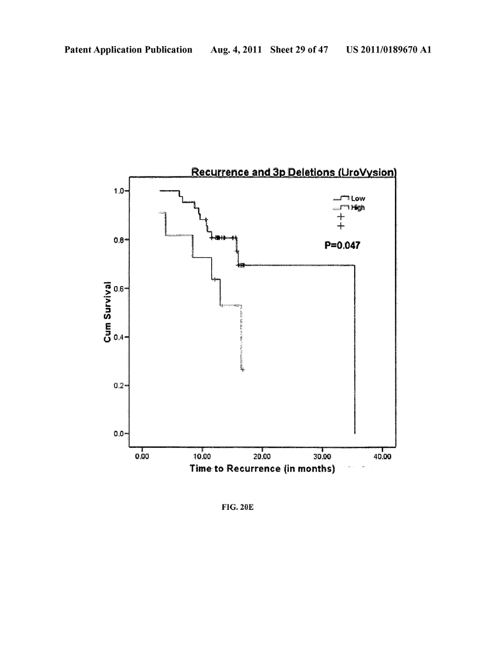 Circulating Tumor and Tumor Stem Cell Detection Using Genomic Specific     Probes - diagram, schematic, and image 30