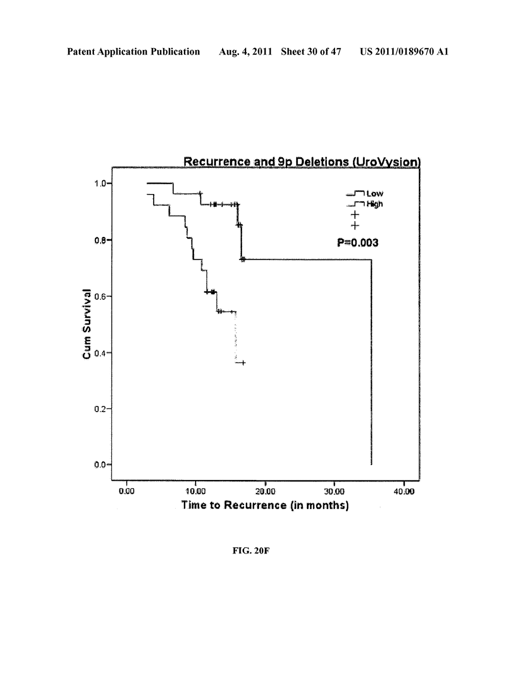 Circulating Tumor and Tumor Stem Cell Detection Using Genomic Specific     Probes - diagram, schematic, and image 31