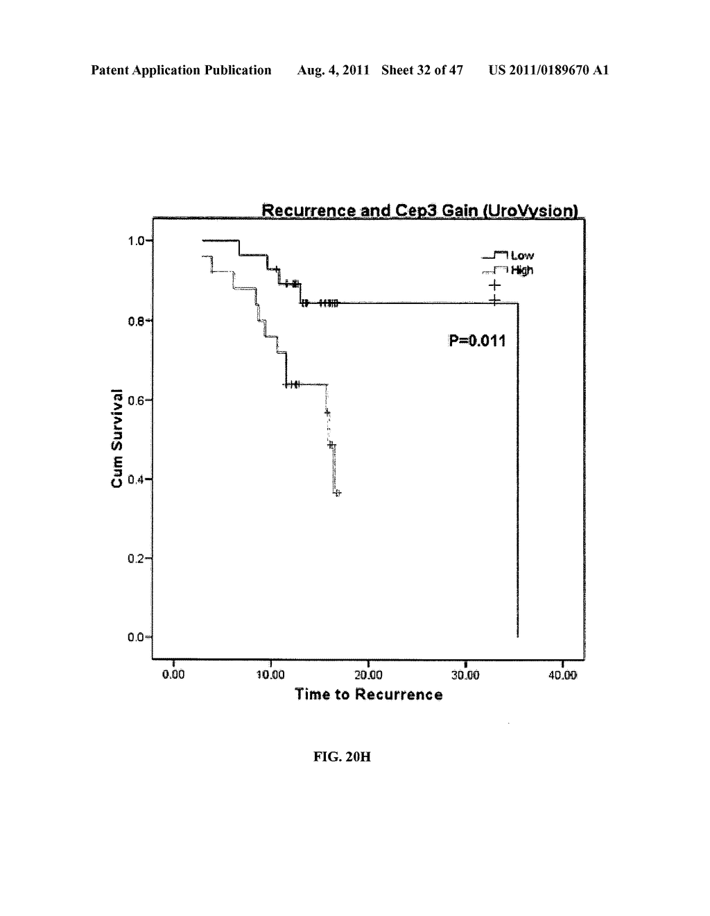 Circulating Tumor and Tumor Stem Cell Detection Using Genomic Specific     Probes - diagram, schematic, and image 33