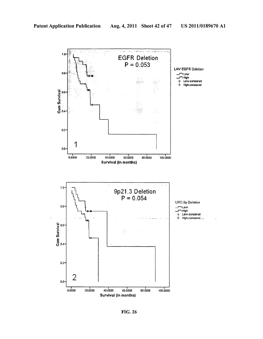 Circulating Tumor and Tumor Stem Cell Detection Using Genomic Specific     Probes - diagram, schematic, and image 43