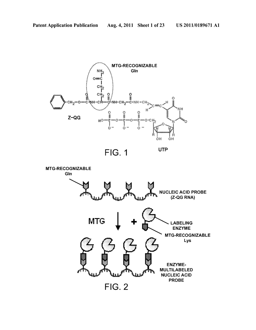 NUCLEOSIDE TRIPHOSPHATE DERIVATIVE, NUCLEIC ACID PROBE, MULTILABELED     NUCLEIC ACID PROBE, METHOD FOR PRODUCTION OF MULTILABELED NUCLEIC ACID     PROBE, AND METHOD FOR DETECTION OF TARGET NUCLEIC ACID - diagram, schematic, and image 02