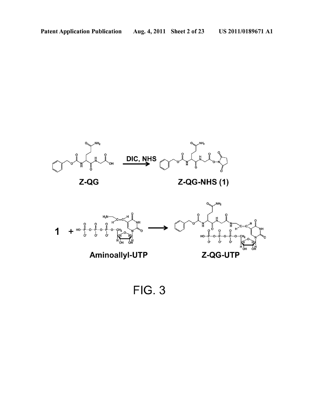 NUCLEOSIDE TRIPHOSPHATE DERIVATIVE, NUCLEIC ACID PROBE, MULTILABELED     NUCLEIC ACID PROBE, METHOD FOR PRODUCTION OF MULTILABELED NUCLEIC ACID     PROBE, AND METHOD FOR DETECTION OF TARGET NUCLEIC ACID - diagram, schematic, and image 03