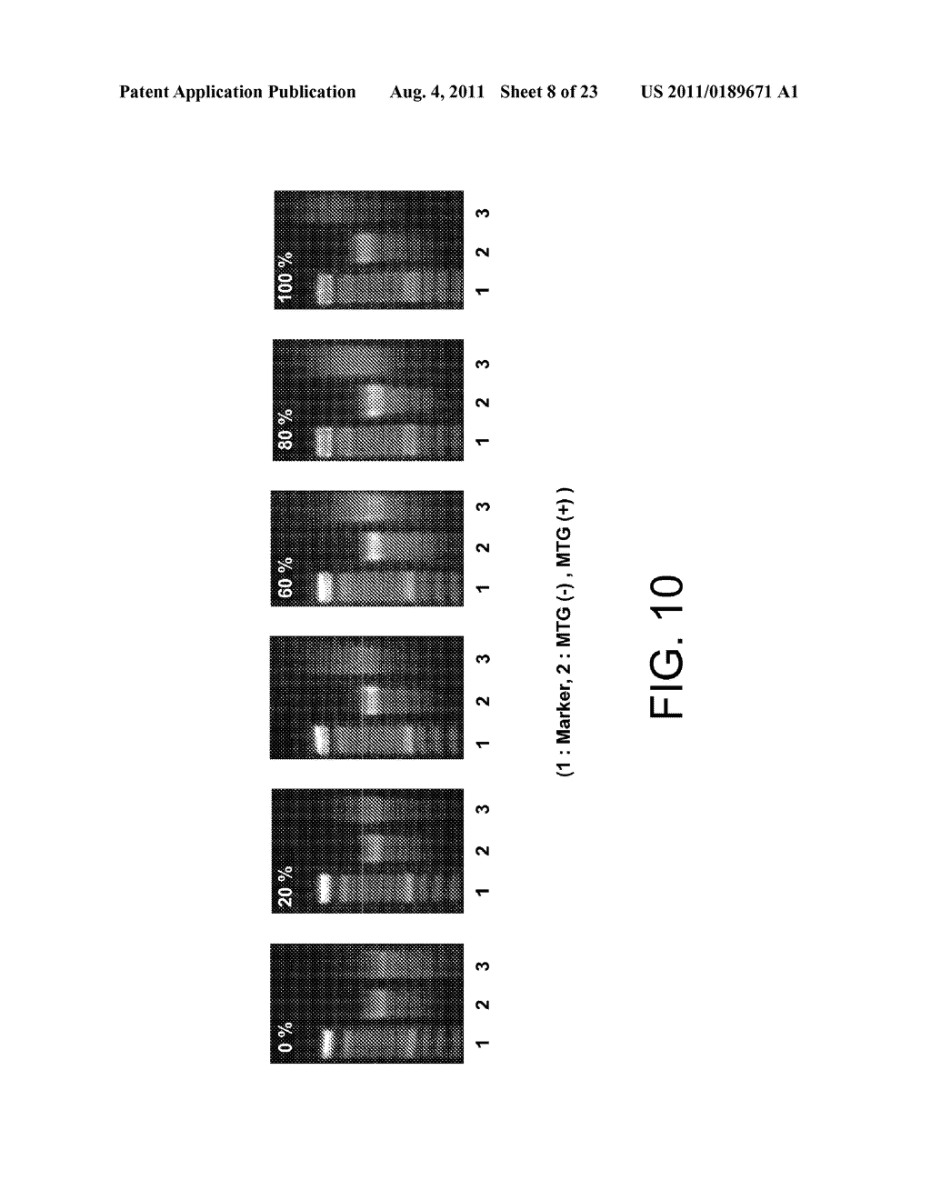 NUCLEOSIDE TRIPHOSPHATE DERIVATIVE, NUCLEIC ACID PROBE, MULTILABELED     NUCLEIC ACID PROBE, METHOD FOR PRODUCTION OF MULTILABELED NUCLEIC ACID     PROBE, AND METHOD FOR DETECTION OF TARGET NUCLEIC ACID - diagram, schematic, and image 09