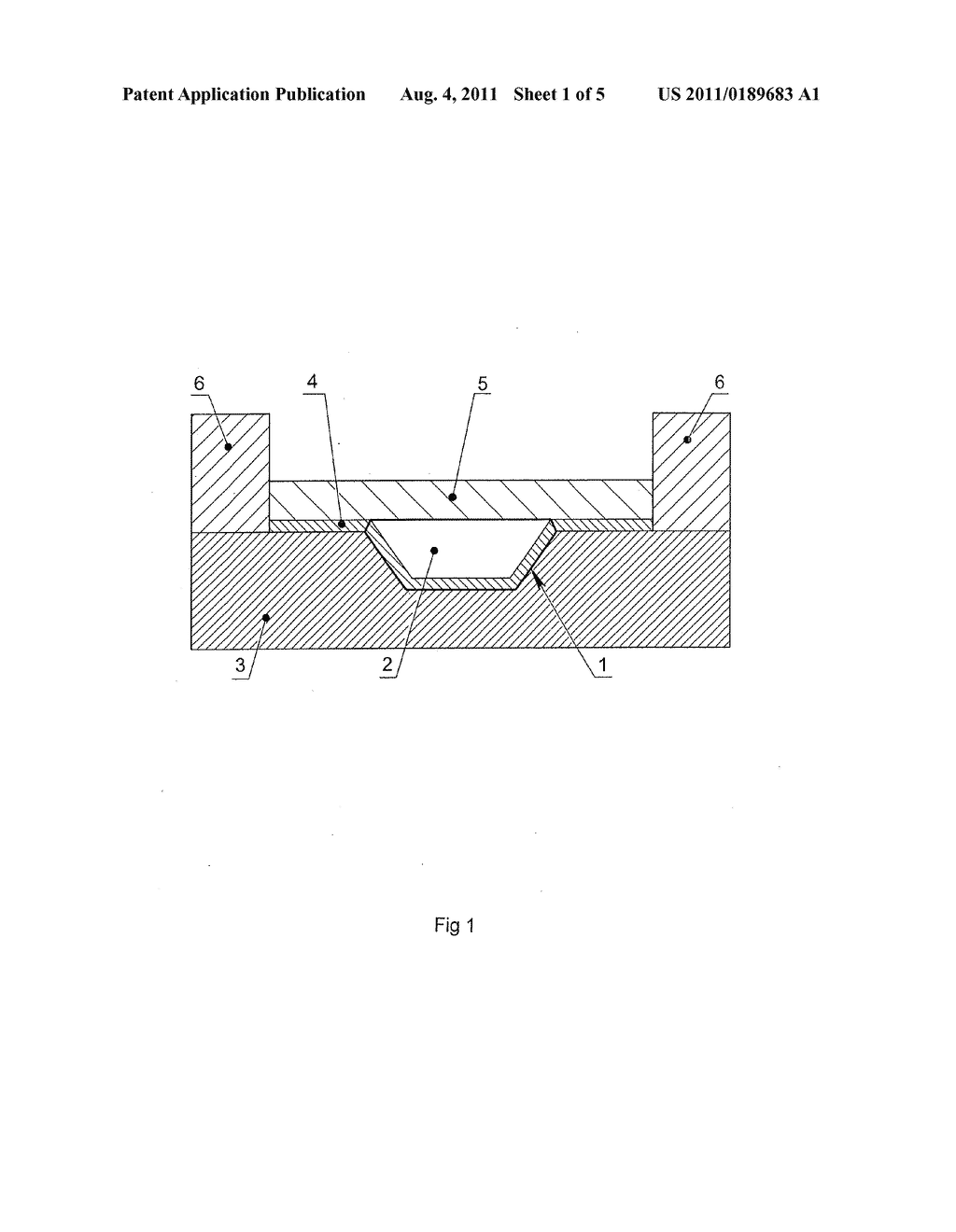 Method of Nucleic Acids Analysis by Real-time Polymerase Chain Reaction     and Device for Performing the Same - diagram, schematic, and image 02