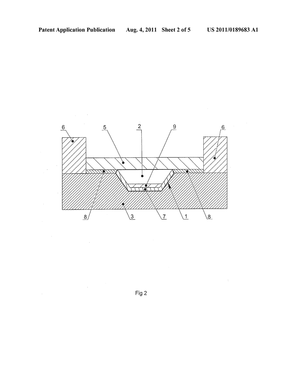 Method of Nucleic Acids Analysis by Real-time Polymerase Chain Reaction     and Device for Performing the Same - diagram, schematic, and image 03