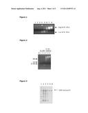 Intracellular Production of a Nuclease diagram and image