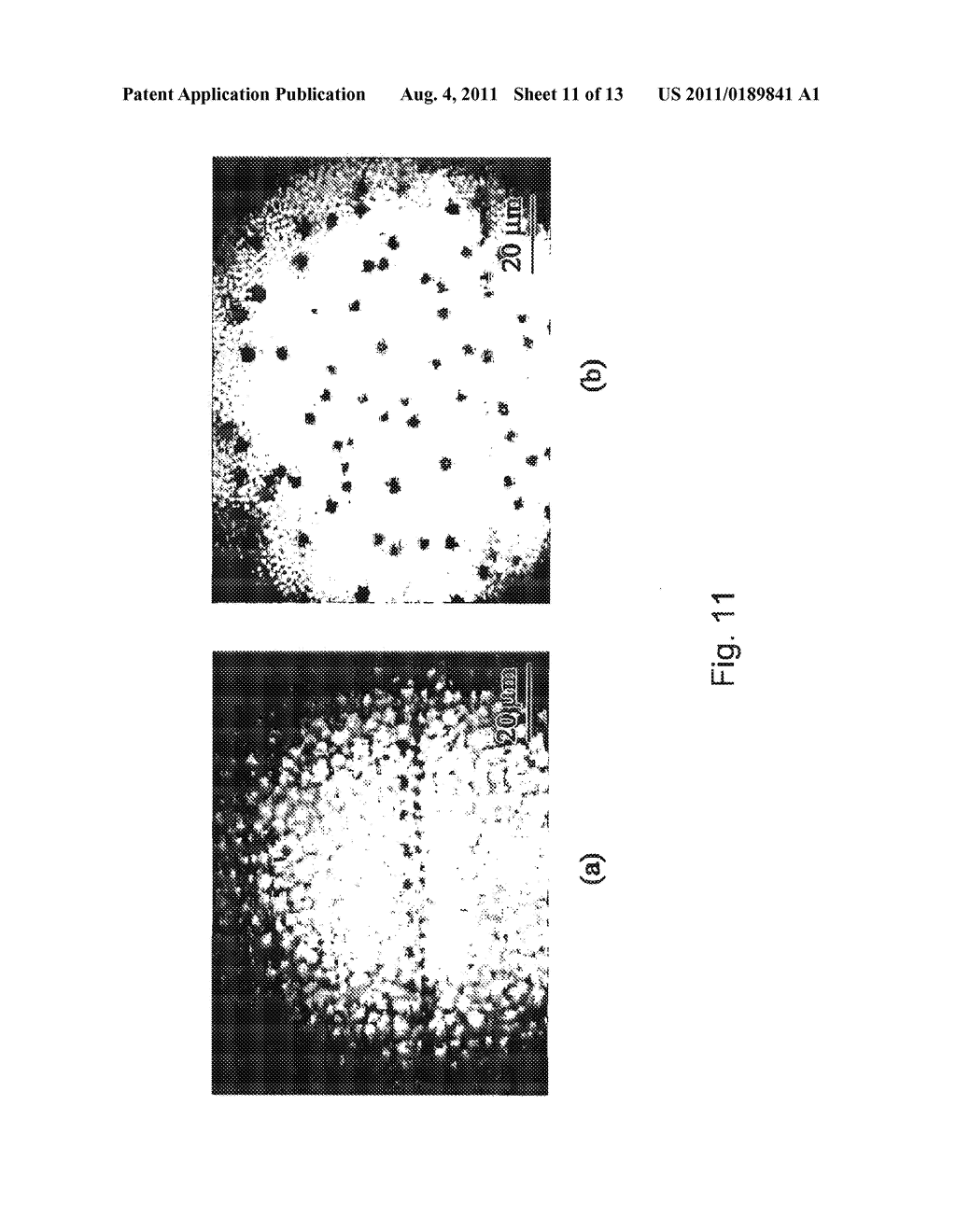 FABRICATION OF LARGE GRAIN POLYCRYSTALLINE SILICON FILM BY NANO     ALUMINUM-INDUCED CRYSTALLIZATION OF AMORPHOUS SILICON - diagram, schematic, and image 12