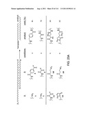 Evolving New Molecular Function diagram and image