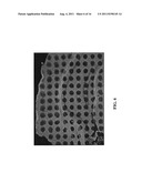 IN SITU ANALYSIS OF TISSUES diagram and image