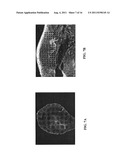 IN SITU ANALYSIS OF TISSUES diagram and image