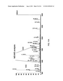 IN SITU ANALYSIS OF TISSUES diagram and image