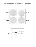NEOEPITOPE DETECTION OF DISEASE USING PROTEIN ARRAYS diagram and image