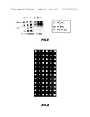 NEOEPITOPE DETECTION OF DISEASE USING PROTEIN ARRAYS diagram and image