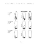 MicroRNA-BASED METHODS AND COMPOSITIONS FOR THE DIAGNOSIS, PROGNOSIS AND     TREATMENT OF LUNG CANCER USING MIR-21 diagram and image