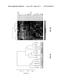 MicroRNA-BASED METHODS AND COMPOSITIONS FOR THE DIAGNOSIS, PROGNOSIS AND     TREATMENT OF LUNG CANCER USING MIR-21 diagram and image