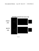 METHOD OF NUCLEIC ACID DELIVERY INTO THREE-DIMENSIONAL CELL CULTURE ARRAYS diagram and image