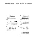 Selective Inhibition of Polyglutamine Protein Expression diagram and image