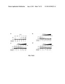 Selective Inhibition of Polyglutamine Protein Expression diagram and image