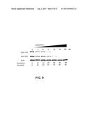 Selective Inhibition of Polyglutamine Protein Expression diagram and image