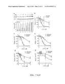 Selective Inhibition of Polyglutamine Protein Expression diagram and image