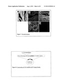 Non-Viral Delivery of Compounds to Mitochondria diagram and image