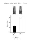 Thrombocyte Inhibition Via Vivo-Morpholino Knockdown of Alpha IIB diagram and image