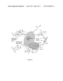 COMPOSITIONS AND METHODS FOR INHIBITION OF HEPATOCYTE GROWTH FACTOR     RECEPTOR C-MET SIGNALING diagram and image