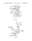 COMPOSITIONS AND METHODS FOR INHIBITION OF HEPATOCYTE GROWTH FACTOR     RECEPTOR C-MET SIGNALING diagram and image