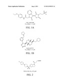 INDOLINE SCAFFOLD SHP-2 INHIBITORS AND CANCER TREATMENT METHOD diagram and image