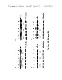 METHODS OF TREATING ATHEROSCLEROSIS diagram and image