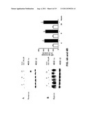 METHODS OF TREATING ATHEROSCLEROSIS diagram and image