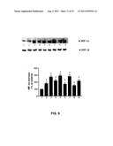 METHODS OF TREATING ATHEROSCLEROSIS diagram and image