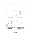 METHODS OF TREATING ATHEROSCLEROSIS diagram and image