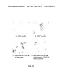 METHODS OF TREATING ATHEROSCLEROSIS diagram and image