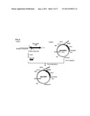 TRANSFECTION VECTOR diagram and image