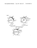 TRANSFECTION VECTOR diagram and image