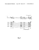 Compositions And Methods For Regulation Of Tumor Necrosis Factor-Alpha diagram and image