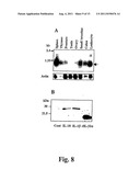 Compositions And Methods For Regulation Of Tumor Necrosis Factor-Alpha diagram and image