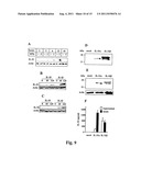 Compositions And Methods For Regulation Of Tumor Necrosis Factor-Alpha diagram and image