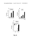 Compositions And Methods For Regulation Of Tumor Necrosis Factor-Alpha diagram and image