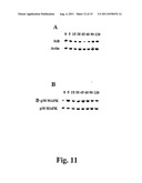 Compositions And Methods For Regulation Of Tumor Necrosis Factor-Alpha diagram and image