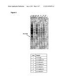 Purification Process for Fragment Antibodies diagram and image